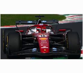 LOO F1078